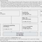 Vorlage Einspruch Einzigartig Vorauszahlung Finanzamt Einspruch Vorlage Das Beste Von