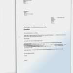 Vorlage Einspruch Gegen Steuerbescheid Fabelhaft Beschwerde Gegen Einen Steuerbescheid