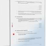 Vorlage Einvernehmliche Scheidung Cool Trennungsvereinbarung Mit Kind