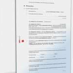 Vorlage Einvernehmliche Scheidung Gut Trennungsvereinbarung Eheleute Ohne Kinder