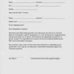 Vorlage Einverständniserklärung Eltern Ausbildung Genial 63 Gut Vorlage Einverständniserklärung Eltern Ausbildung