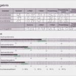 Vorlage Elfe Gut 3 3 Die Lernstandserhebung Mit Hilfe Standardisierter