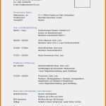 Vorlage Englischer Lebenslauf Erstaunlich 9 Englischer Lebenslauf Vorlagen123 Vorlagen123