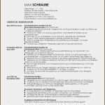 Vorlage Englischer Lebenslauf Erstaunlich 9 Maschinenbau Bachelor Lebenslauf Vorlagen123 Vorlagen123