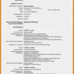 Vorlage Englischer Lebenslauf Fabelhaft Lebenslauf In Englisch Muster Frisch 11 Vorlage Englischer