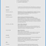 Vorlage Englischer Lebenslauf Gut Lebenslauf Englisch Vorlage Fabelhaft 5 Englischer