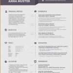 Vorlage Englischer Lebenslauf Schönste 12 Lebenslauf Englisch Muster