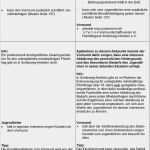 Vorlage Entwicklungsbericht Jugendamt Wunderbar Großzügig Beispiel Checklisten Vorlage Galerie Entry