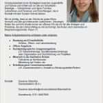 Vorlage Entwicklungsgespräch Kindergarten Gut Steckbrief Erzieherin Kindergarten Vorlage Bewerbung