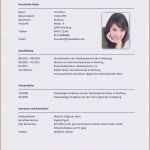 Vorlage Entwicklungsgespräch Kindergarten Neu Steckbrief Erzieherin Kindergarten Vorlage Neu 15