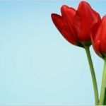 Vorlage Erbe Ausschlagen Erstaunlich Fristen Zum Erbe Ausschlagen