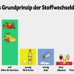 Vorlage Ernährungsplan Cool Stoffwechseldiät Dieser Prozess ist Der Schlüssel Zum