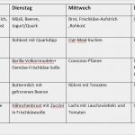 Vorlage Ernährungsplan Erstaunlich Ernährungsplan Zum Abnehmen Erstellen