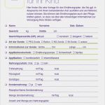 Vorlage Ernährungsplan Erstaunlich Mein Kind ist Besonders Ernährungsplan