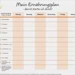 Vorlage Ernährungsplan Gut Ernährung Erfolgreich Umstellen Ernährungstagebuch Und
