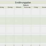 Vorlage Ernährungsplan Inspiration Essensplan Für Eine Woche Vorlage Einzigartig