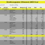 Vorlage Ernährungsplan Luxus Ernährungsplan Muskelaufbau