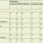 Vorlage Erstattung Impfkosten Gut Erstattung Von Impfkosten