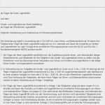 Vorlage Erweitertes Führungszeugnis Bewundernswert Kinderschutz Im Ehrenamt Leitfaden Für Vereine Und