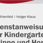 Vorlage Erweitertes Führungszeugnis Bewundernswert Vorlage – Kitarechtler