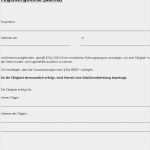 Vorlage Erweitertes Führungszeugnis Wunderbar Kinderschutz Im Ehrenamt Leitfaden Für Vereine Und