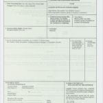 Vorlage Eur 1 Cool Eur 1 Dolaşım Belgesi Eur 1 Movement Certificate Exportact