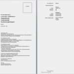 Vorlage Europäischer Lebenslauf Angenehm Muster Lebenslauf Word Eylül 2015