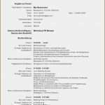 Vorlage Europäischer Lebenslauf Erstaunlich 19 Europaischer Lebenslauf Vorlagen123 Vorlagen123