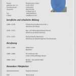 Vorlage Europäischer Lebenslauf Inspiration Der Lebenslauf