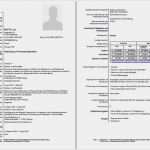 Vorlage Europäischer Lebenslauf Süß Muster Lebenslauf Word Eylül 2015