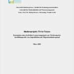 Vorlage Expose Hausarbeit Elegant Me Nprojekt "fit for Future"