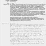 Vorlage Exzerpt Angenehm 15 Beispiel Exzerpt