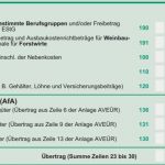 Vorlage Fahrtkosten Steuererklärung Gut Leitfaden Anlage EÜr 2018 Mit Elster Ausfüllen