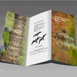 Vorlage Faltblatt Erstaunlich Word Faltblatt Vorlagen Zum Herunterladen