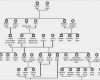 Vorlage Familienbaum Inspiration Game Of Thrones Familienbaum sooo Viele Namen