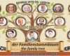 Vorlage Familienbaum Neu Der Familienstammbaum the Family Tre