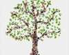 Vorlage Familienbaum Wunderbar Cómo Hacer Un árbol Genealógico Familiar Espaciociencia