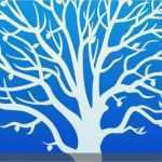 Vorlage Familienstammbaum Kostenlos Wunderbar Ahnenforschung Leicht Gemacht so Erstellen Sie Ihren