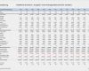 Vorlage Finanzplan Excel Luxus Finanzplanung Taxware Ag