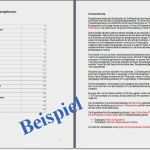 Vorlage Finanzplan Fabelhaft Charmant Vorlage Für Finanzplan Zeitgenössisch