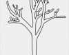 Vorlage Fingerabdruck Baum Elegant Die Besten 25 Baum Vorlage Ideen Auf Pinterest