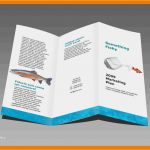 Vorlage Flyer A5 Word Einzigartig 14 Flyer Vorlage Word
