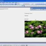 Vorlage Flyer A5 Word Fabelhaft Microsoft Word 2003 Einladung A5
