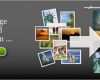 Vorlage Fotocollage Erstaunlich Neomell Eine Collage Aus Meinen Fotos