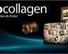 Vorlage Fotocollage Kostenlos Elegant Myphoto24 Posterdruck Leinwanddruck Poster Drucken