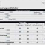 Vorlage Fragebogen Erstellen Hübsch Fragebogen Vorlage Word Bewundernswert Word formular