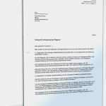 Vorlage Führerschein Beim Arbeitgeber Beste Antrag Auf Nebentätigkeit Beim Arbeitgeber Vorlage