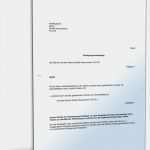 Vorlage Führerschein Beim Arbeitgeber Erstaunlich Kündigungsschutzklage