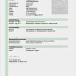 Vorlage Für Adressänderung Erstaunlich Azubi Muster Lebenslauf Hellgrünes Design