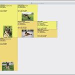 Vorlage Für Ahnentafel Gut Hundezucht software Stammbaum Zucht Hundescout